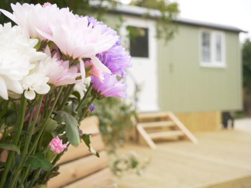 Wolstonbury Getaway Hassocks Exterior foto